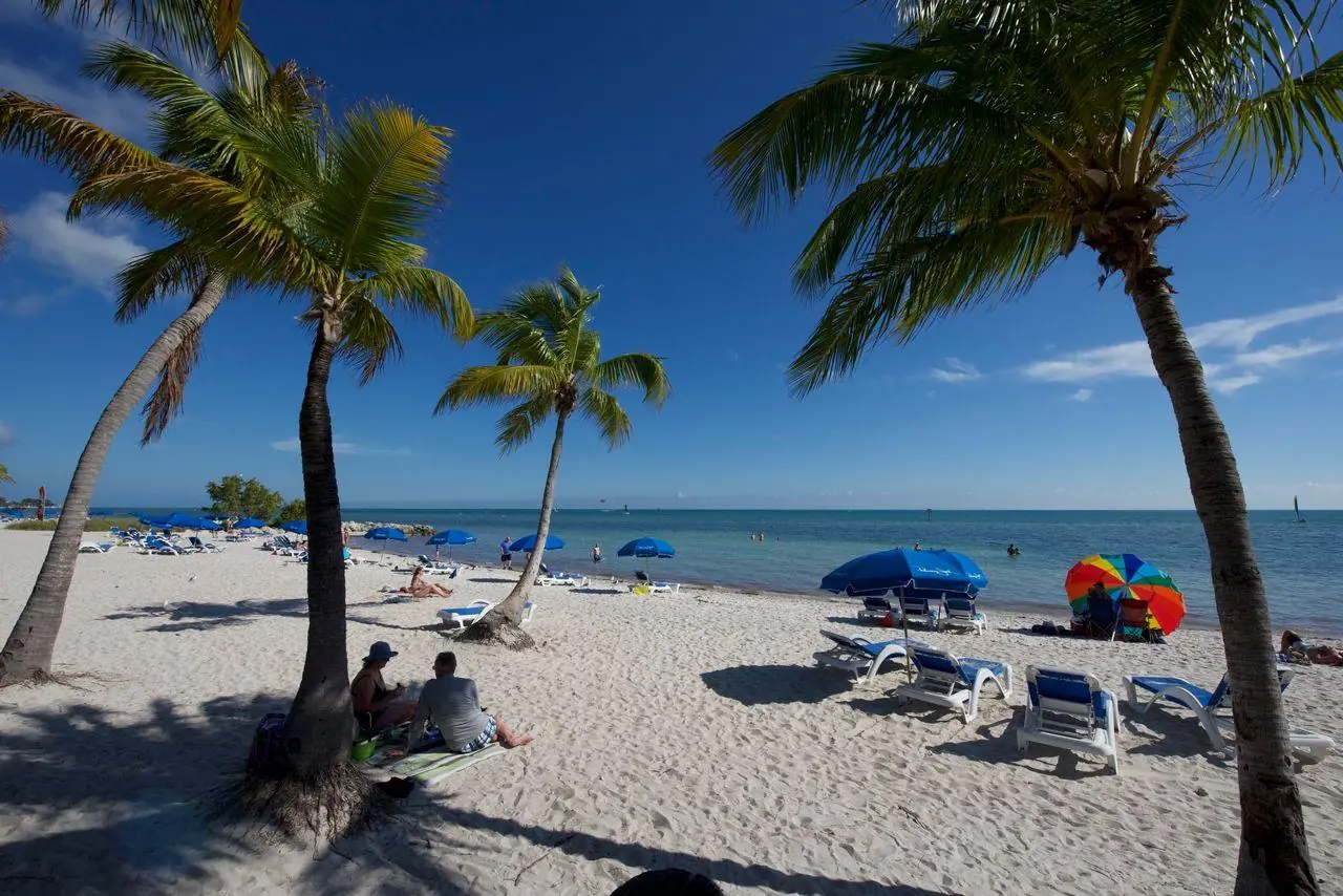 A beach scene with palm trees, people sitting on the sand, and blue ocean in the background.